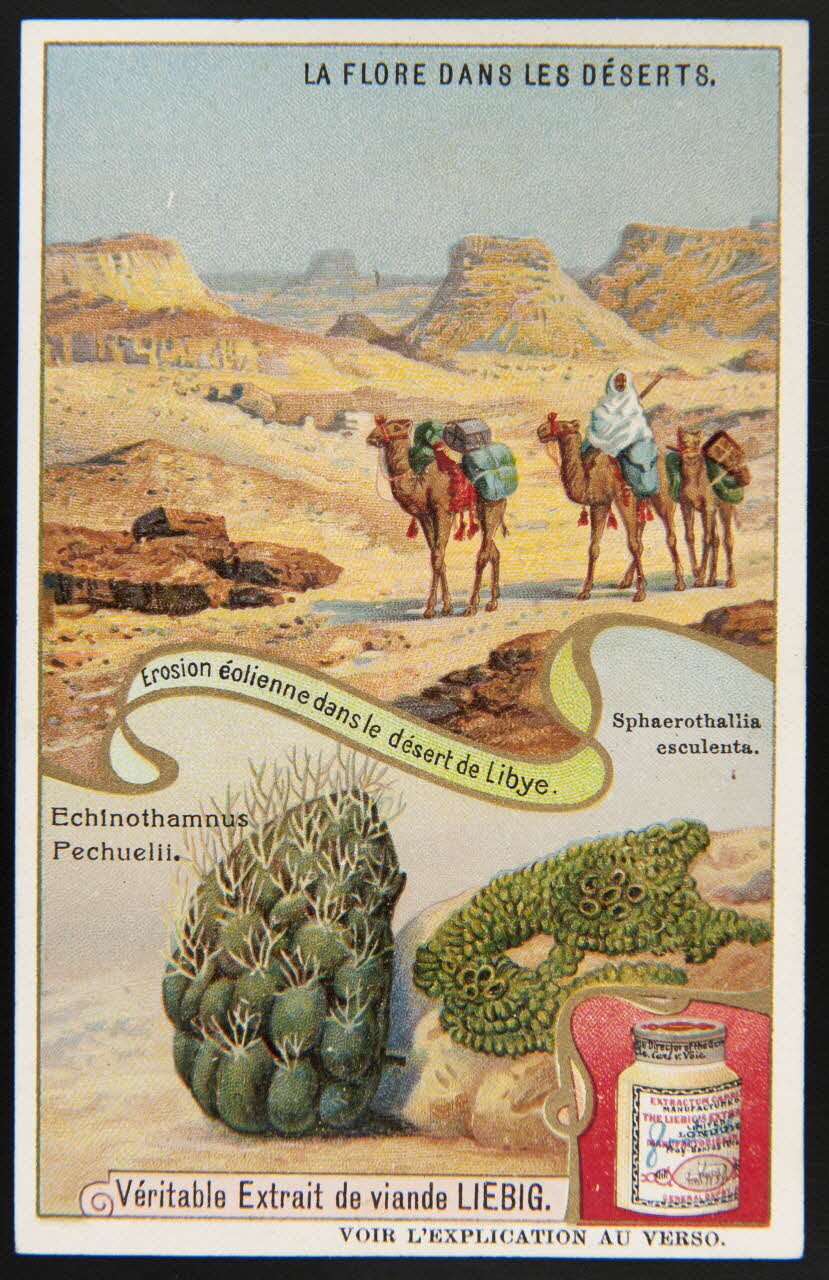 carte réclame chromo 1996.40.1388.6 Photo