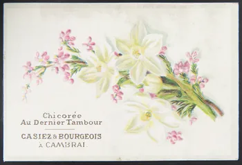 carte réclame chromo 1996.40.1411.1  Photo