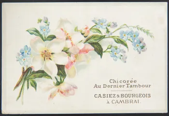 carte réclame chromo 1996.40.1411.3 Photo