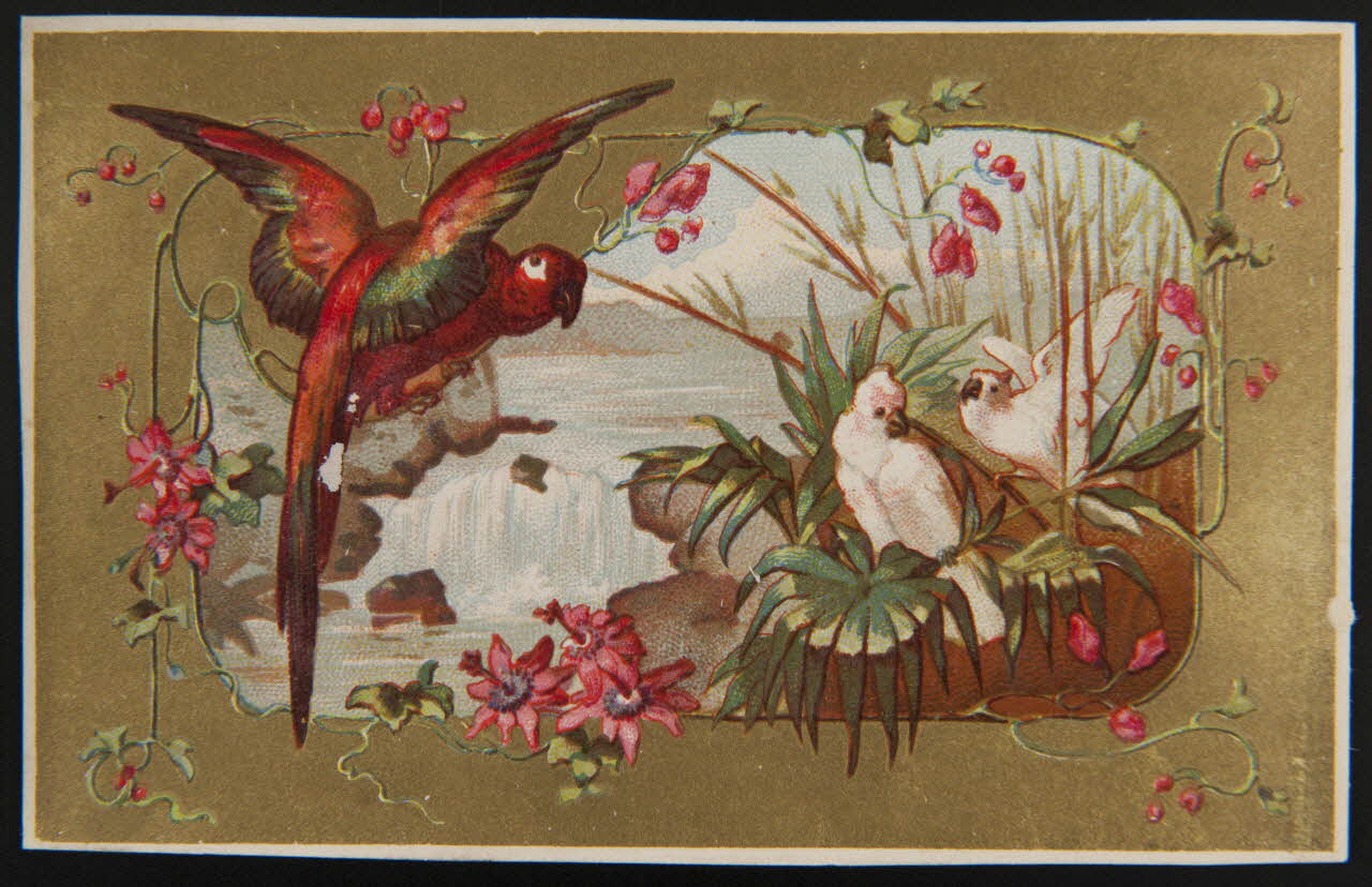 carte réclame Oiseaux exotiques sur fond de cascade 1996.40.1425.2 Photo