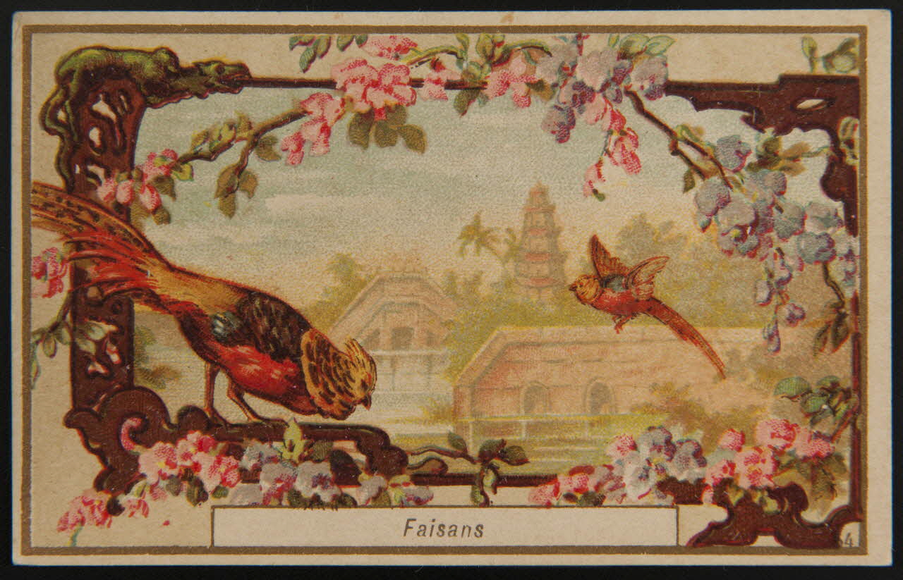 carte réclame Faisans 1996.40.1425.4 Photo