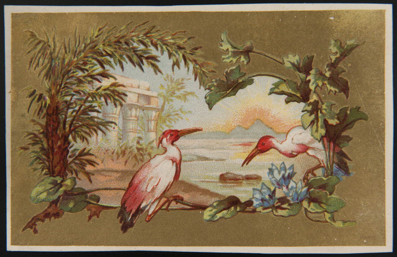carte réclame Oiseaux sur fond de paysage 1996.40.1425.5 Photo