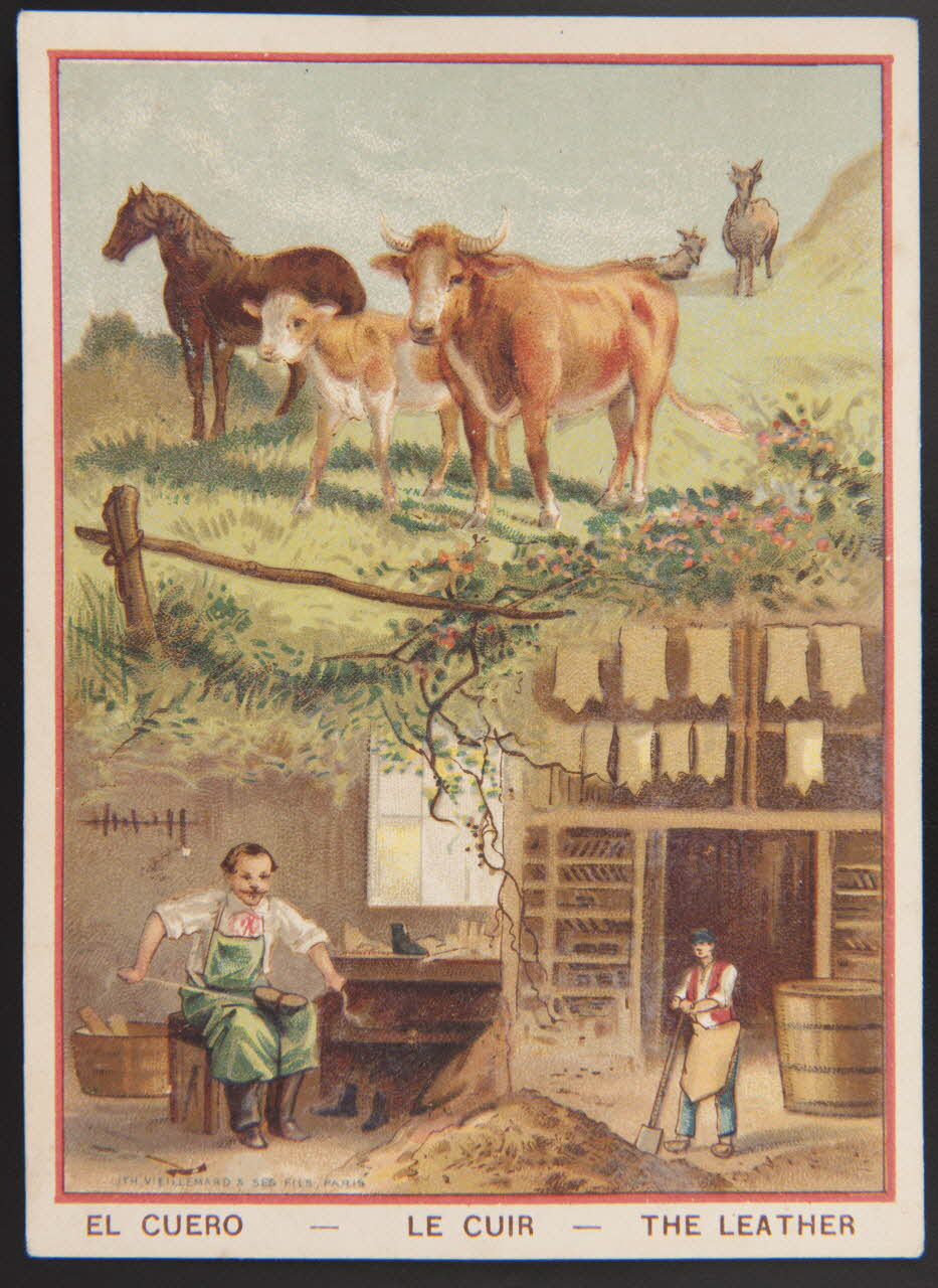 carte réclame chromo 1996.40.1437.10 Photo