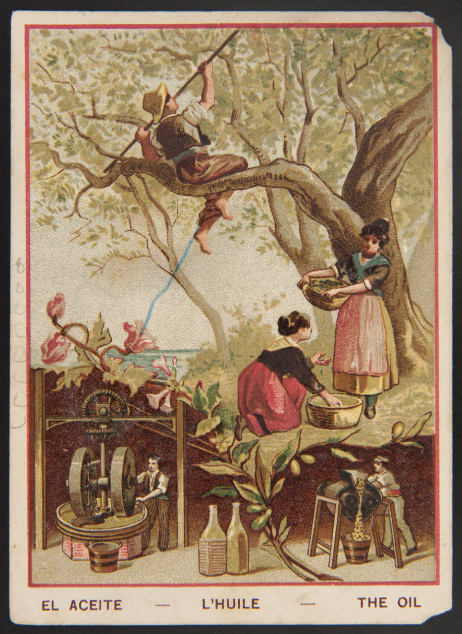 carte réclame chromo 1996.40.1437.16 Photo