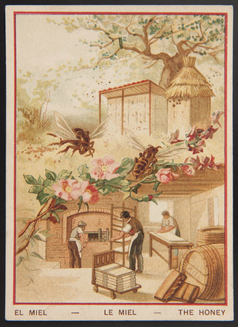 carte réclame chromo 1996.40.1437.19 Photo