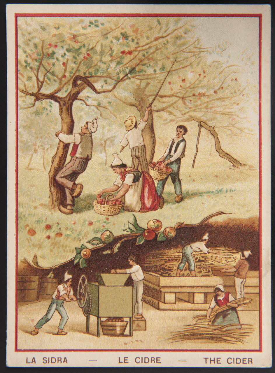 carte réclame chromo 1996.40.1437.7 Photo