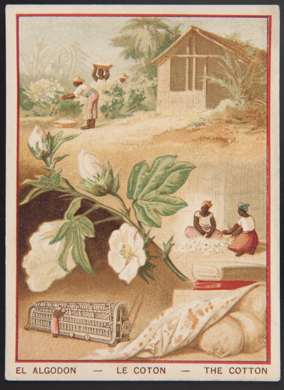 carte réclame chromo 1996.40.1437.8 Photo