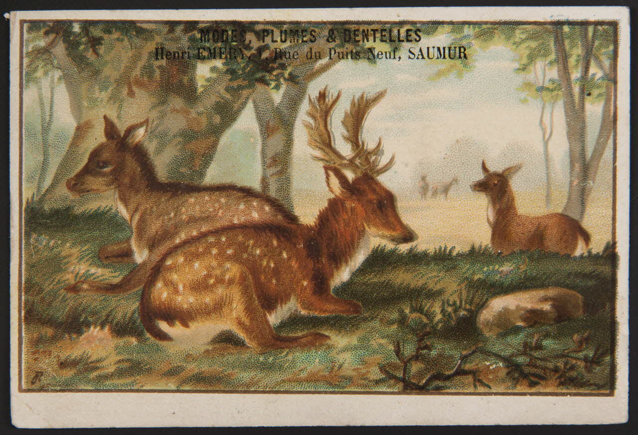 carte réclame chromo 1996.40.1447.3 Photo