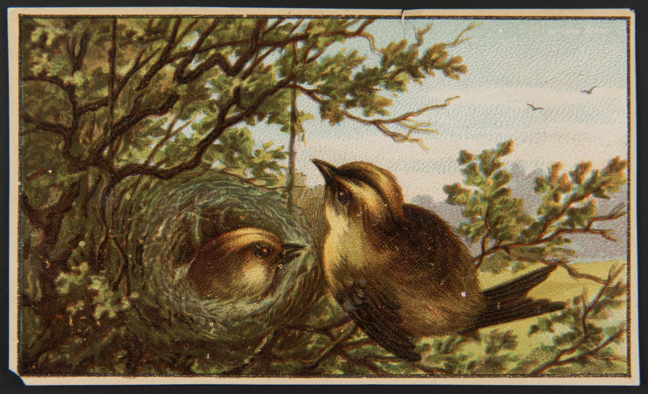 carte réclame chromo 1996.40.1451 Photo