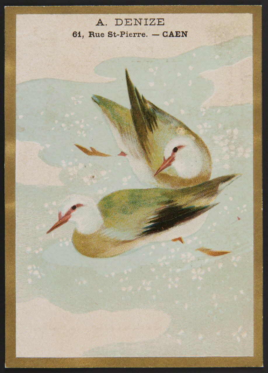 carte réclame chromo 1996.40.1452.1 Photo