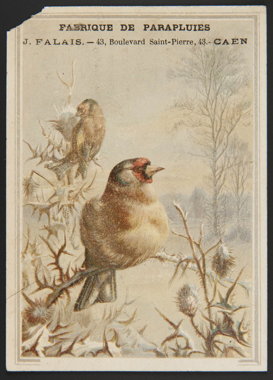 carte réclame chromo 1996.40.1456.2 Photo