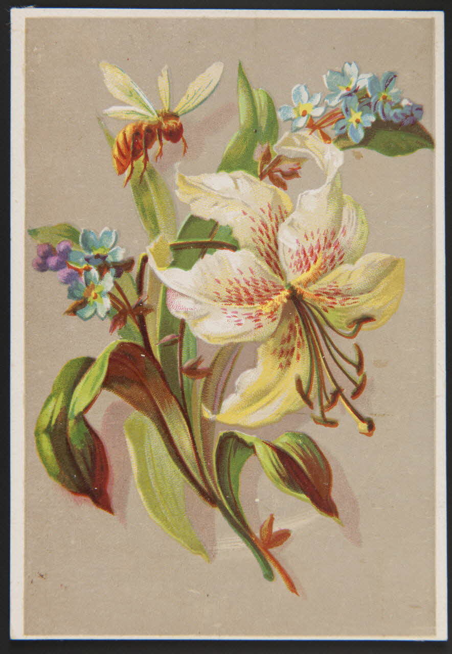 carte réclame chromo 1996.40.1463.3 Photo