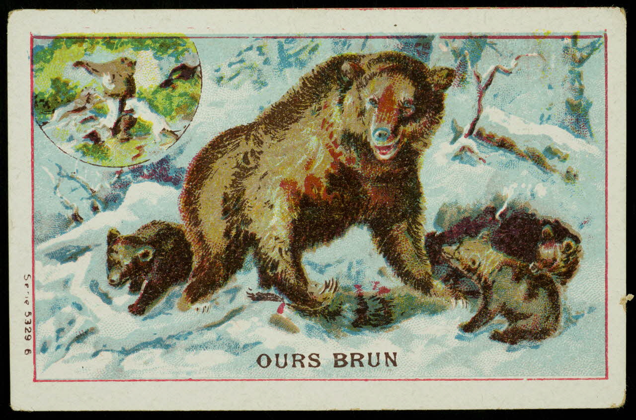 carte réclame chromo 1996.40.1477.1 Photo