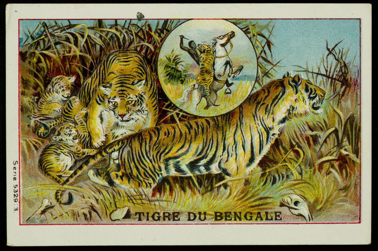 carte réclame chromo 1996.40.1477.4 Photo