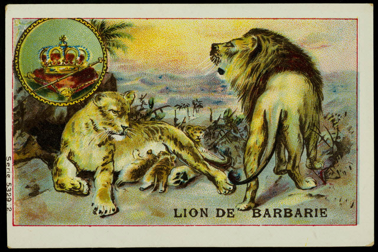 carte réclame chromo 1996.40.1477.5 Photo