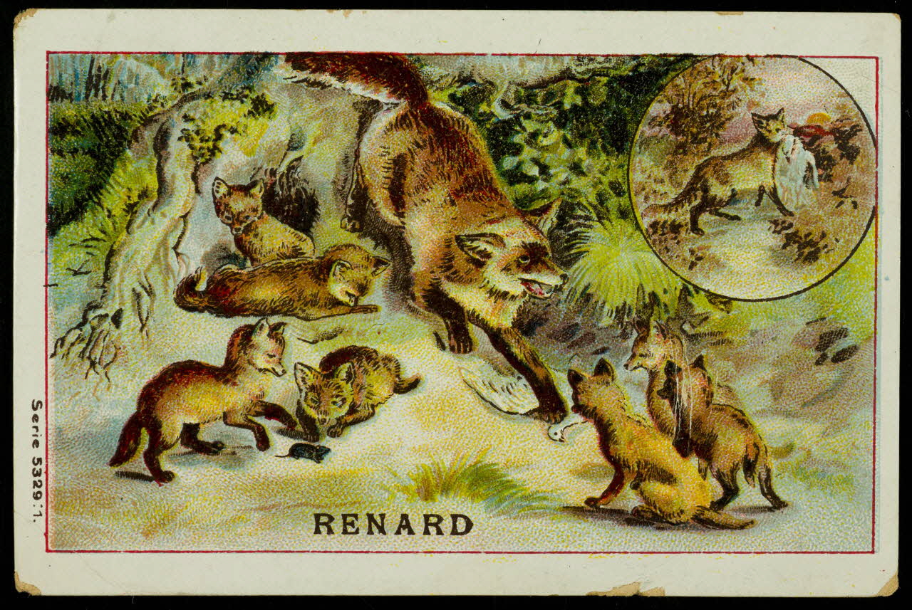 carte réclame chromo 1996.40.1477.6 Photo