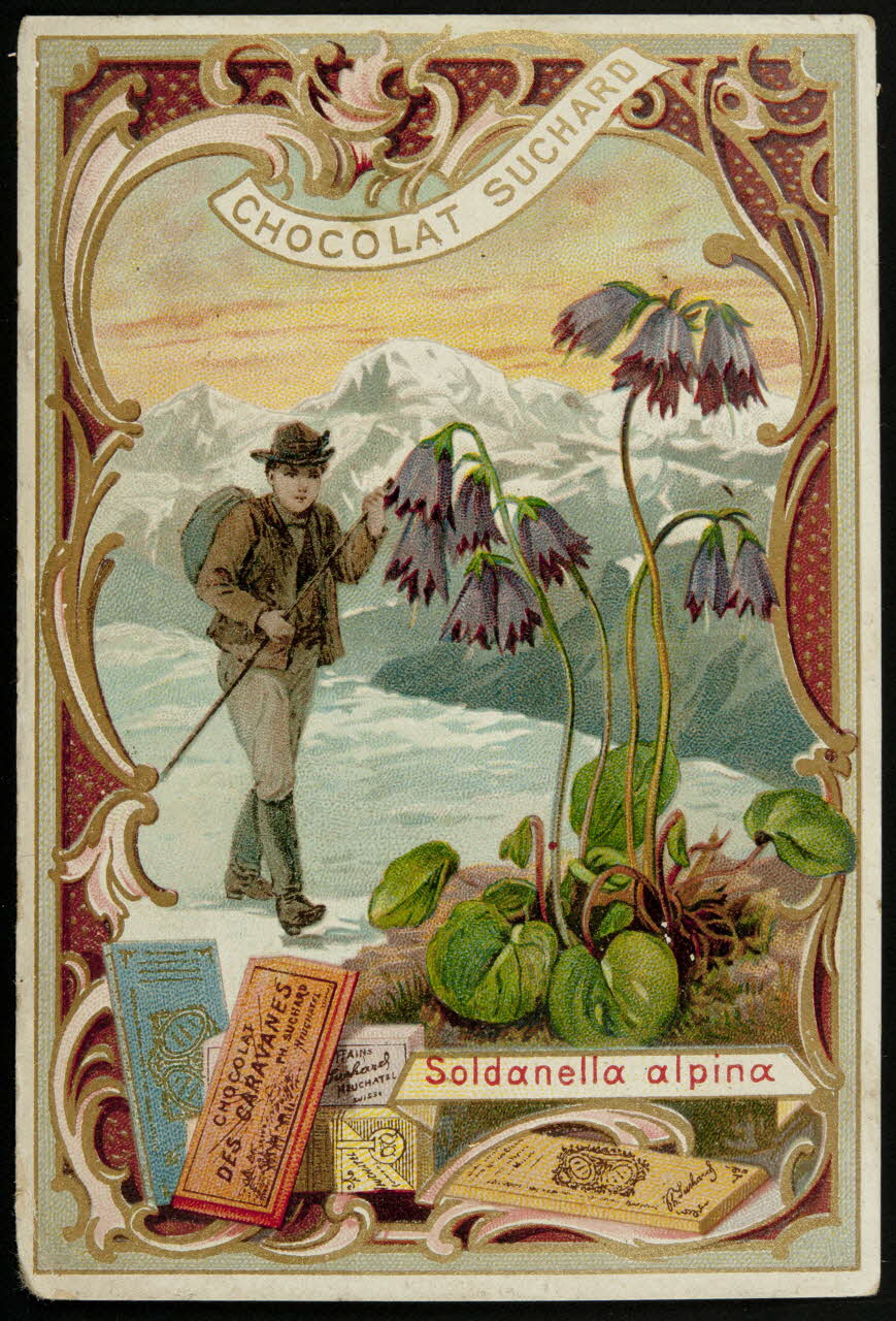Suchard Philippe carte réclame chromo Neuchâtel 1880-1914 1996.40.164.3 Photo
