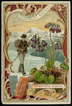 Suchard Philippe carte réclame chromo Neuchâtel 1880-1914 1996.40.164.3  Photo
