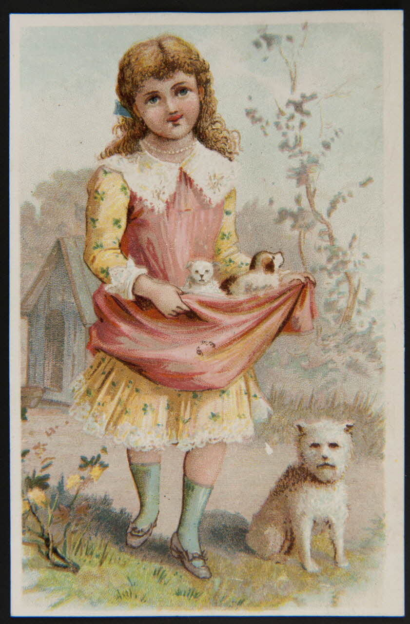 Carte réclame Fillette portant des chiots dans son tablier 1996.40.1642.4 Photo