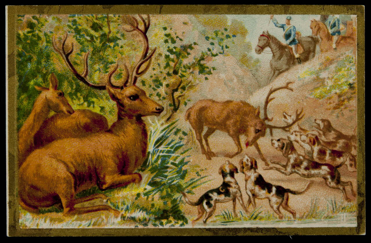 carte réclame chromo 1996.40.1668.2 Photo