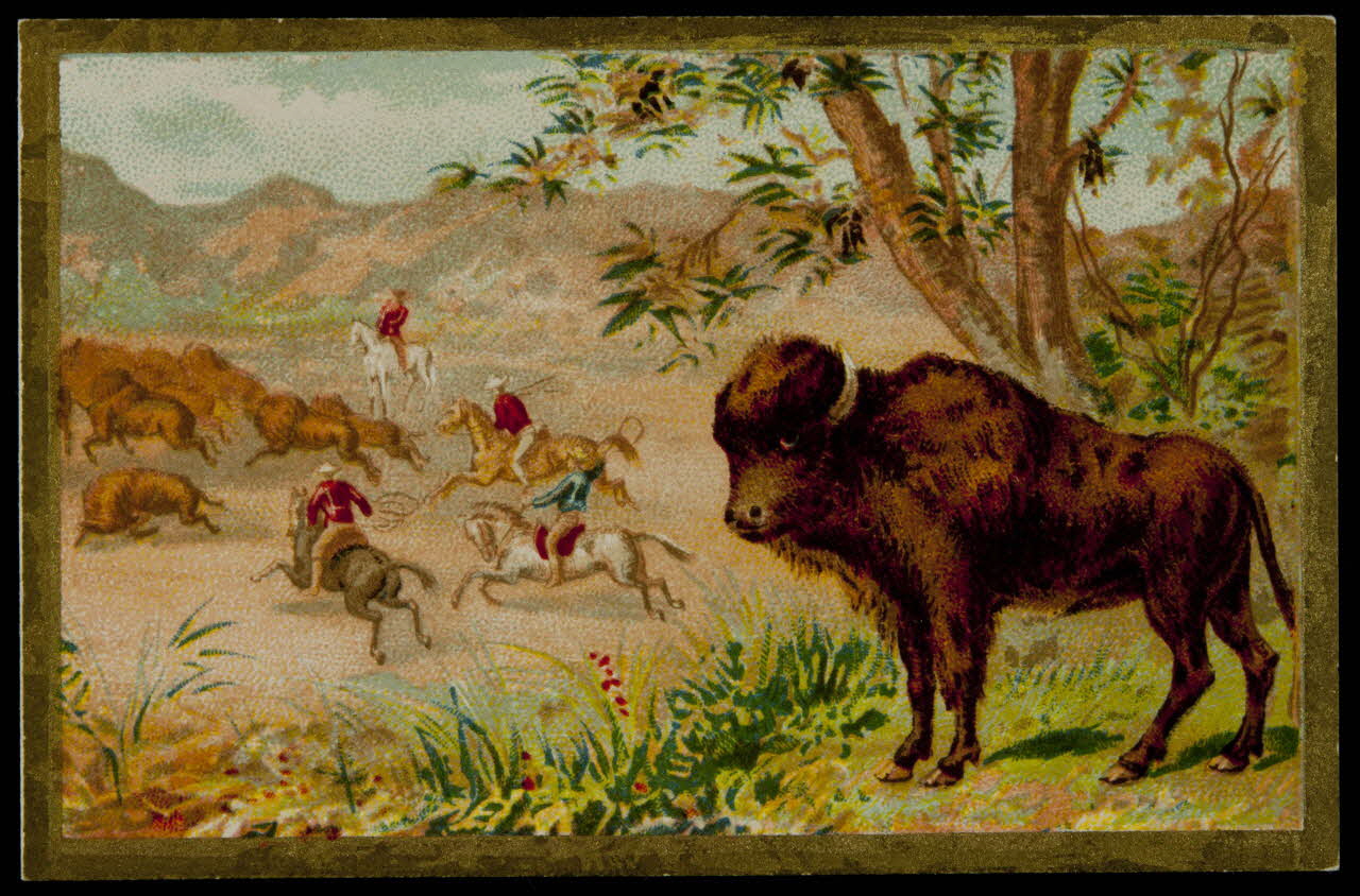 carte réclame chromo 1996.40.1668.4 Photo