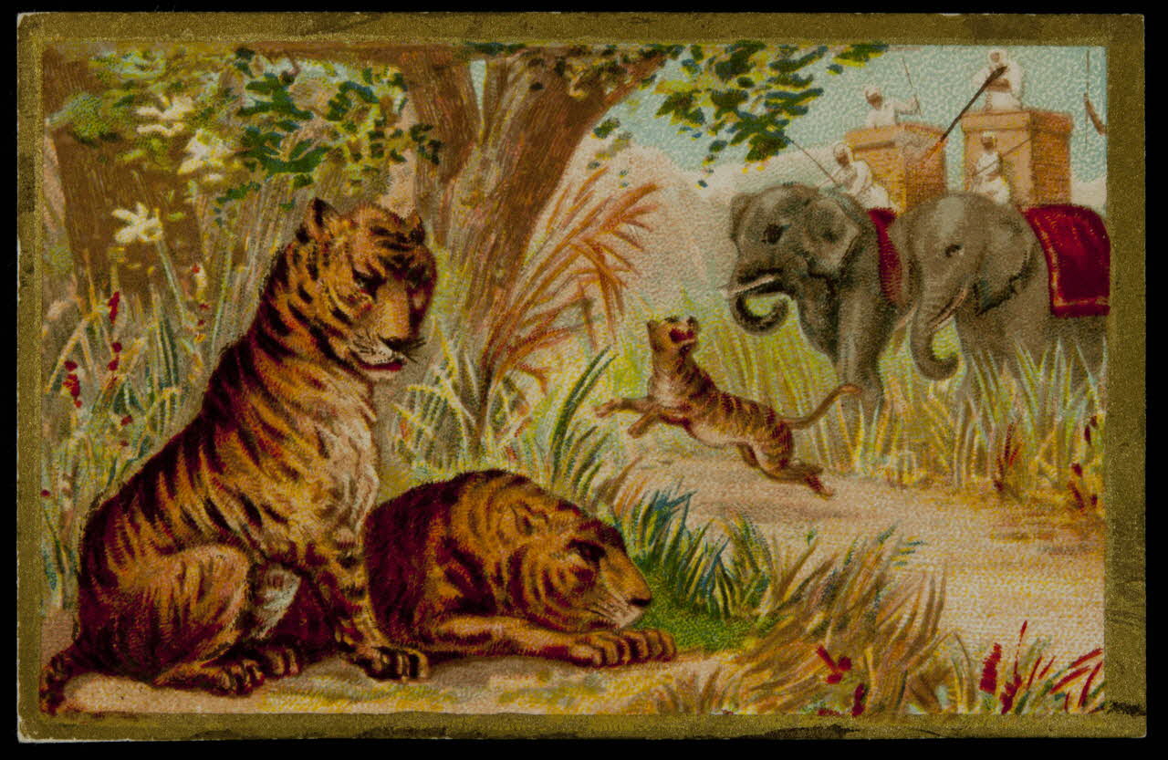 carte réclame chromo 1996.40.1668.6 Photo