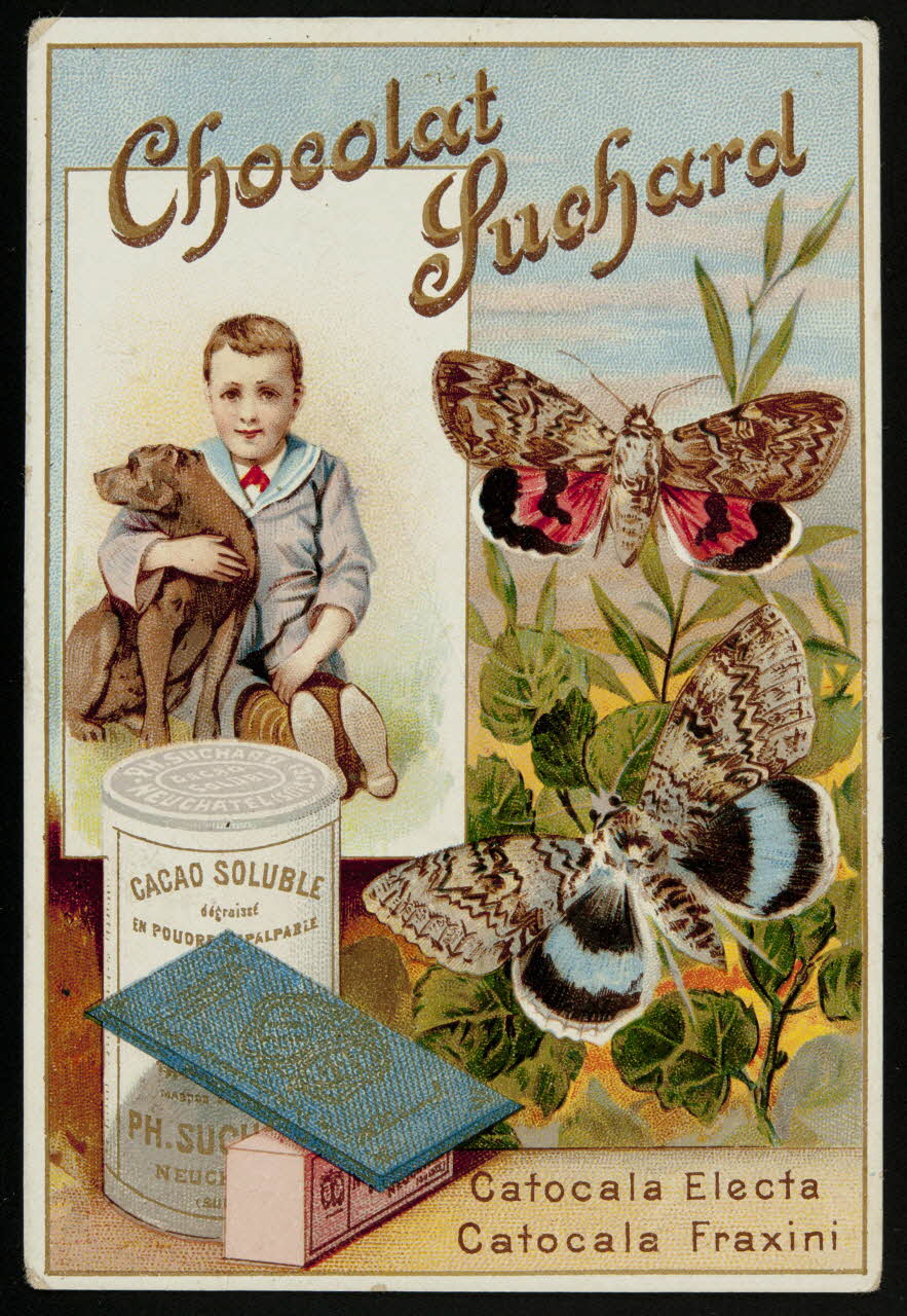 Suchard Philippe carte réclame chromo Neuchâtel, Suisse 1880-1914 1996.40.171.3 Photo