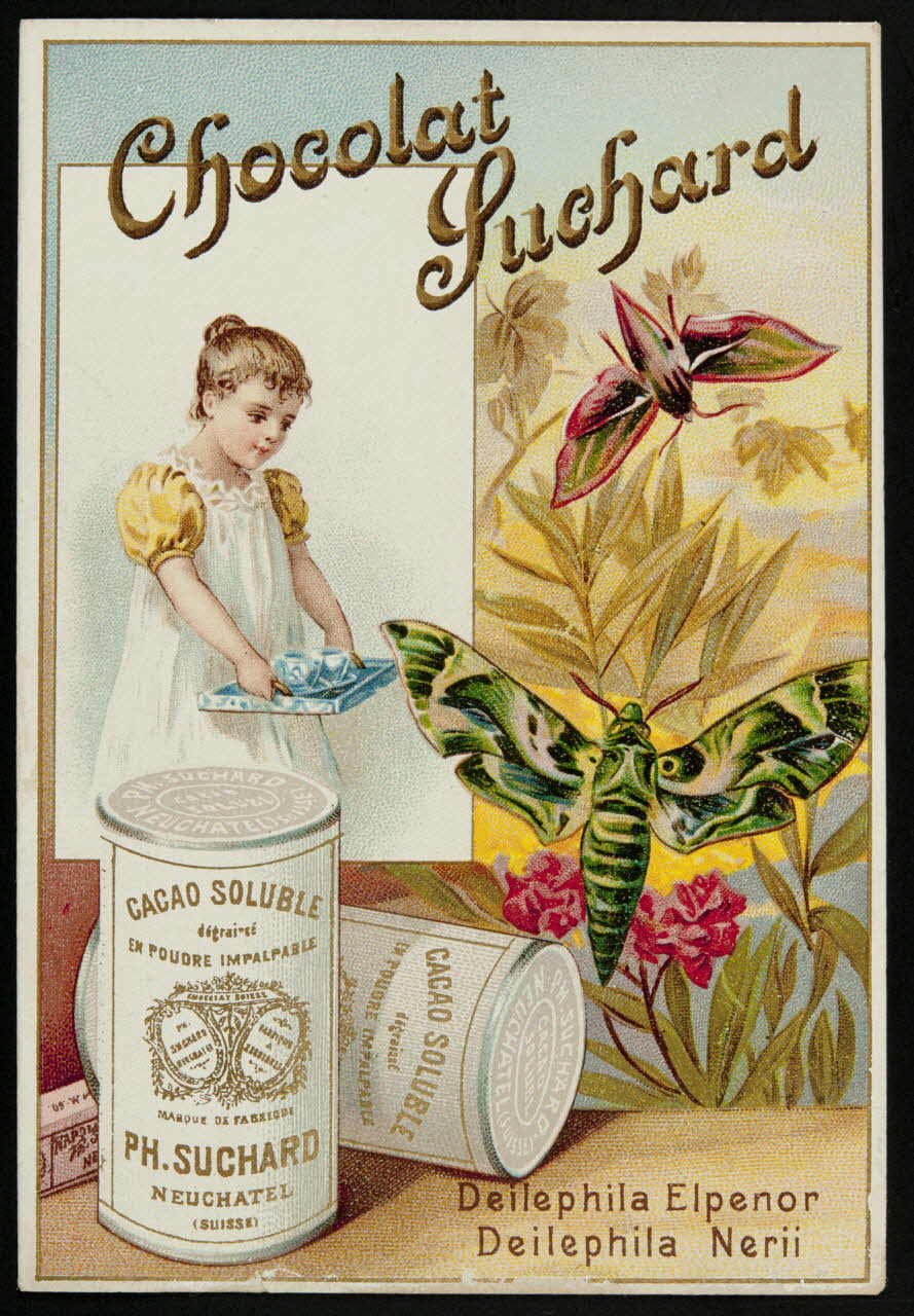 Suchard Philippe carte réclame chromo Neuchâtel, Suisse 1880-1914 1996.40.171.5 Photo