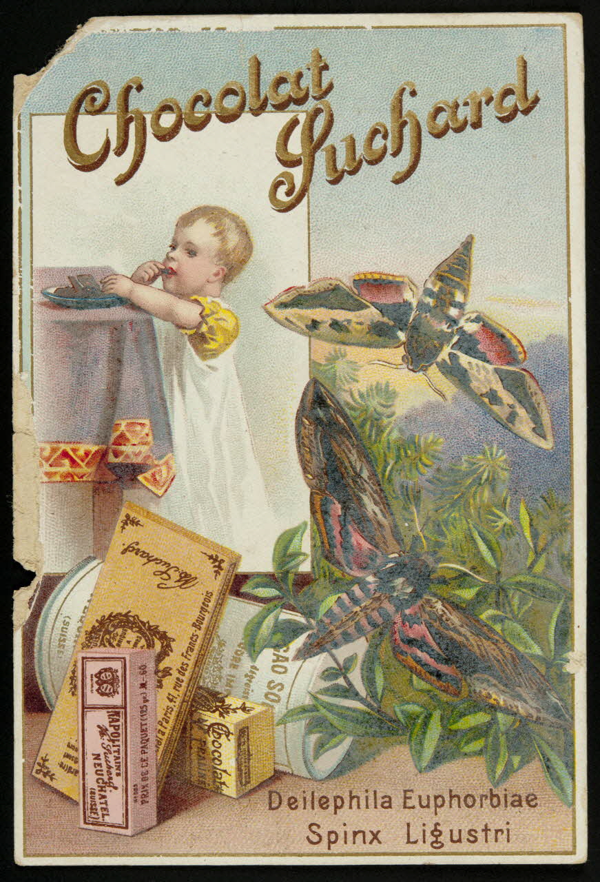 Suchard Philippe carte réclame chromo Neuchâtel, Suisse 1880-1914 1996.40.171.6 Photo