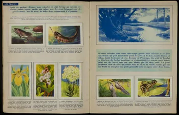 album Histoire naturelle simplifiée- La vie des rivières France 1960-1970 2007.46.105 Photo