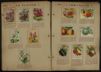 album Vie France 1945-1955 2007.46.127  Photo