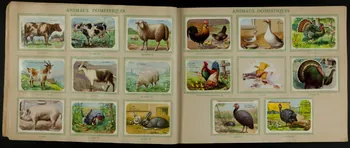album Biscottes MOREAU  TOURS  (Indre-&-Loire)  ALBUM D'IMAGES France 1950-1960 2007.46.181 Photo