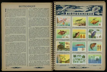 album LES  MERVEILLES  DU  MONDE  VOLUME N°2 France 1932 2007.46.185 Photo
