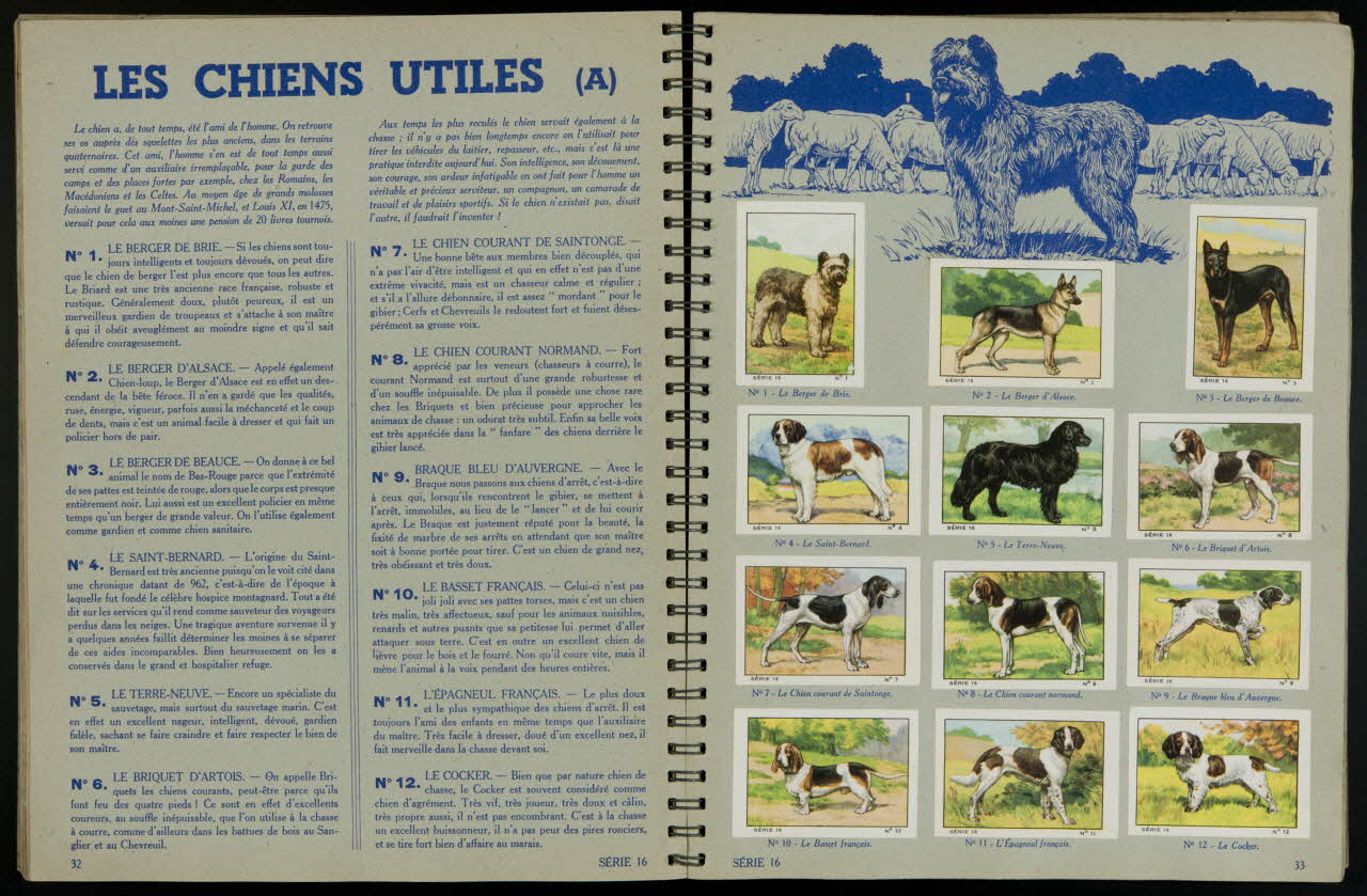 album SPORTS  ANIMAUX  PAYSAGES DE FRANCE  ALBUM  NESTLE  1939-1940 France 1939 2007.46.189 Photo