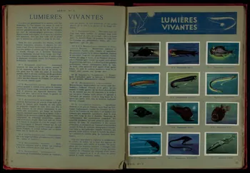 album LES  MERVEILLES  DU  MONDE  VOLUME N°1 France 1932 2007.46.190  Photo