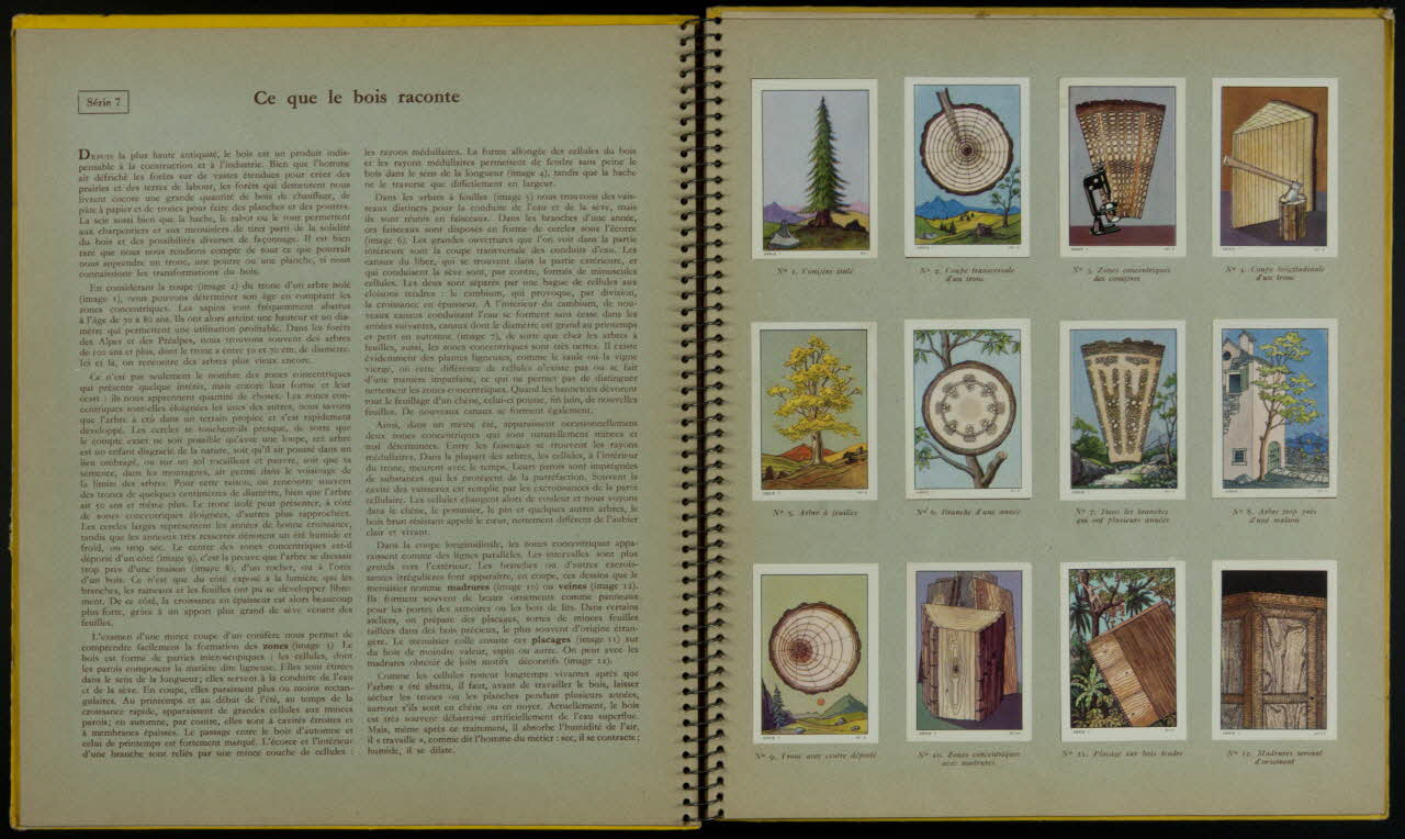album LES  MERVEILLES  DU  MONDE  VOLUME I  1953-1954  EDITE PAR  LES CHOCOLATS  NESTLE - KOHLER France 1953 2007.46.192 Photo