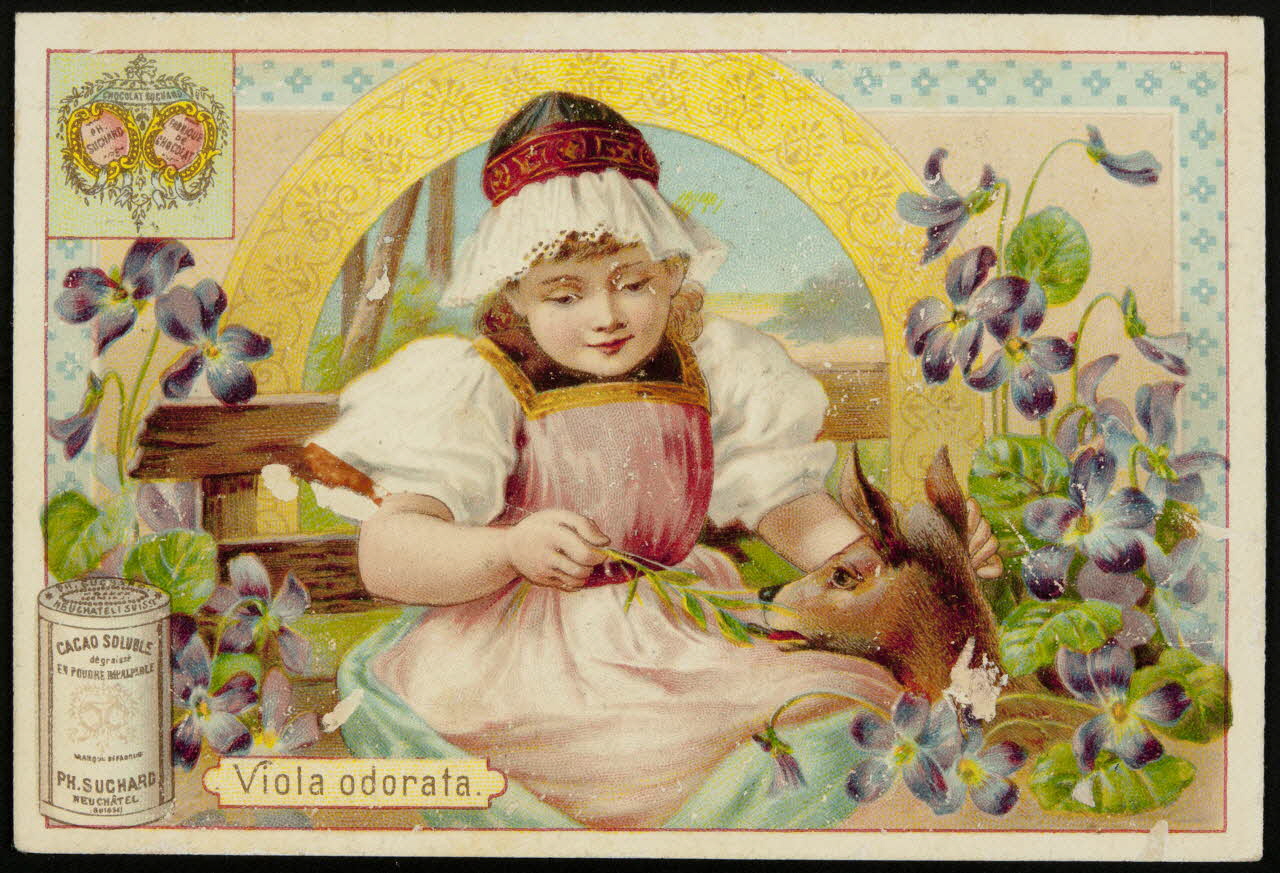 Suchard Philippe carte réclame chromo Neuchâtel, Suisse 1880-1914 1996.40.174.2 Photo