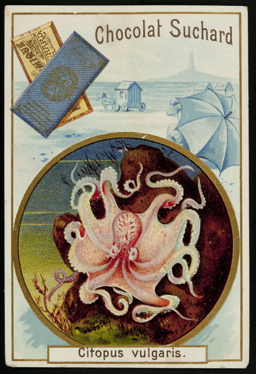 Suchard Philippe carte réclame chromo Neuchâtel 1880-1914 1996.40.176.3 Photo