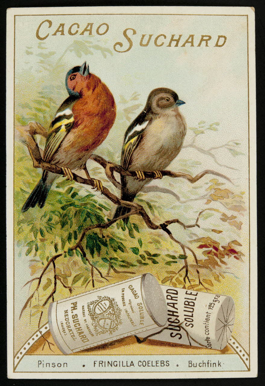 Suchard Philippe carte réclame chromo Neuchâtel 1880-1914 1996.40.177.1 Photo