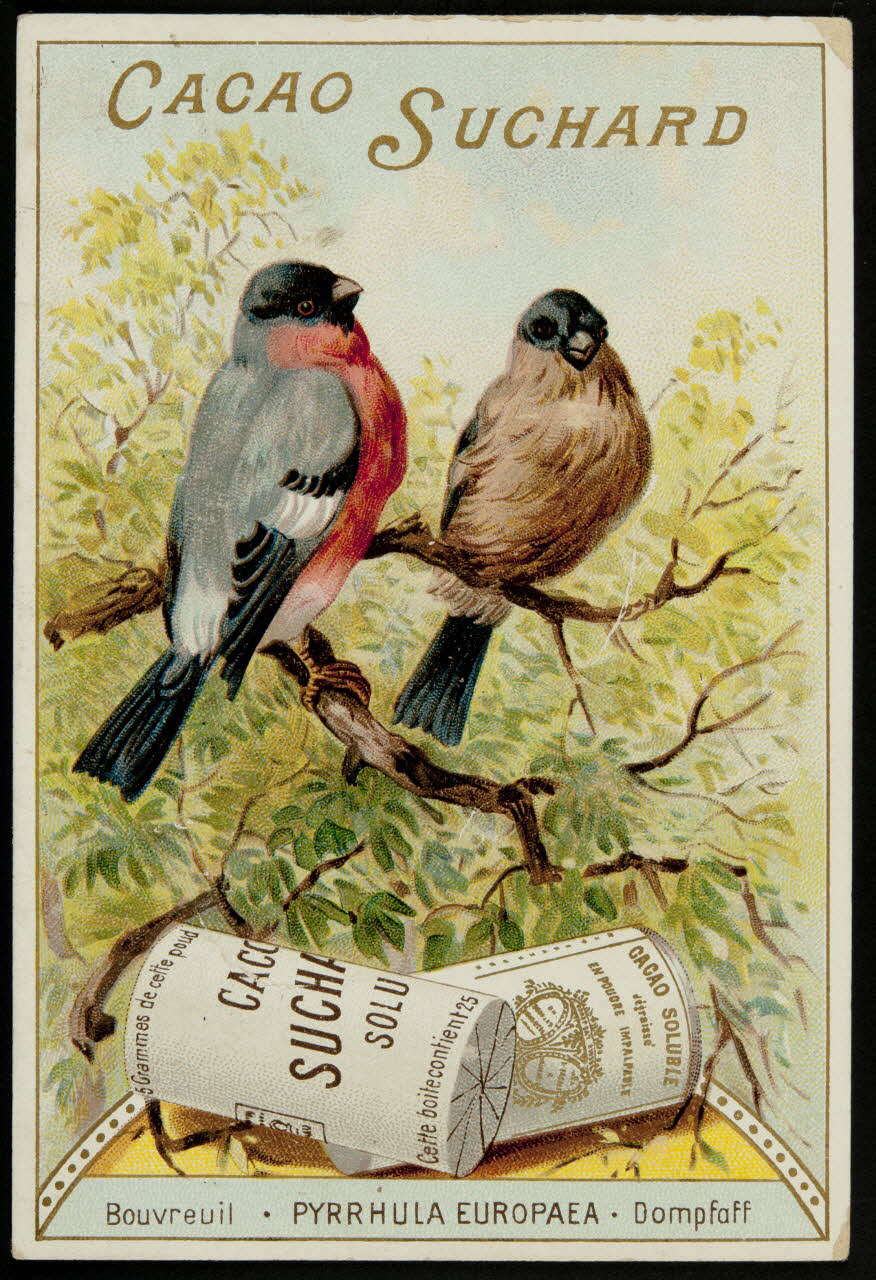 Suchard Philippe carte réclame chromo Neuchâtel 1880-1914 1996.40.177.2 Photo