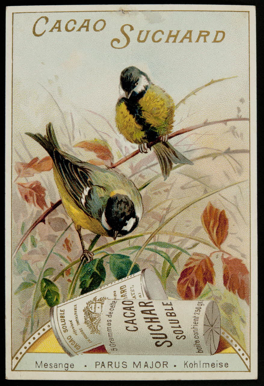 Suchard Philippe carte réclame chromo Neuchâtel 1880-1914 1996.40.177.4 Photo