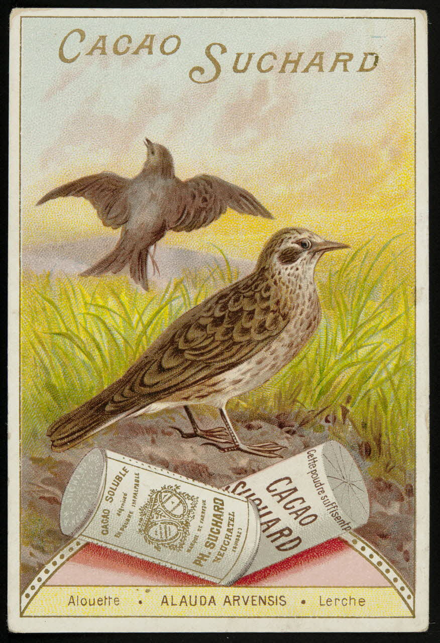 Suchard Philippe carte réclame chromo Neuchâtel 1880-1914 1996.40.177.5 Photo