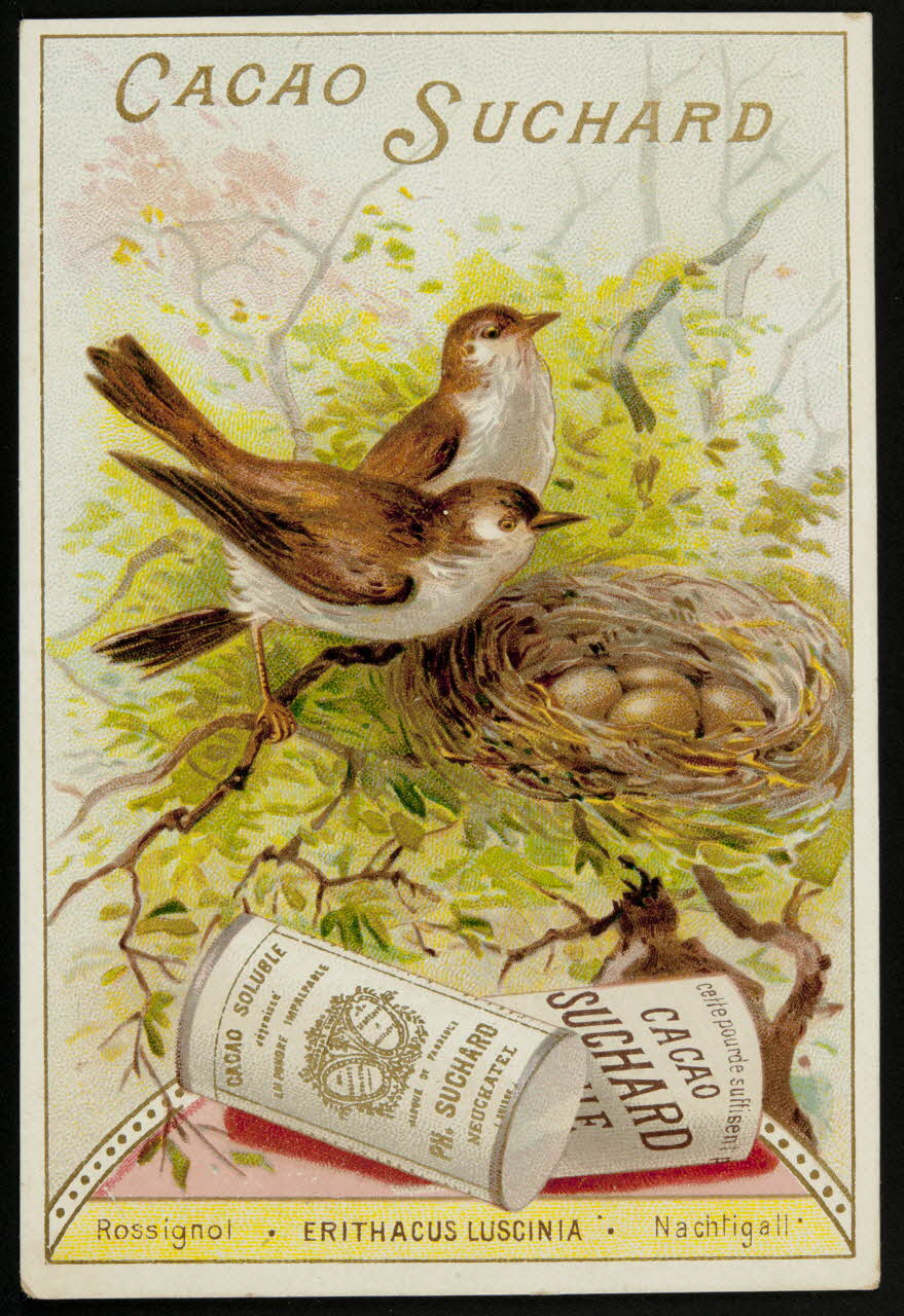 Suchard Philippe carte réclame chromo Neuchâtel 1880-1914 1996.40.177.6 Photo