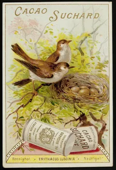 Suchard Philippe carte réclame chromo Neuchâtel 1880-1914 1996.40.177.6  Photo