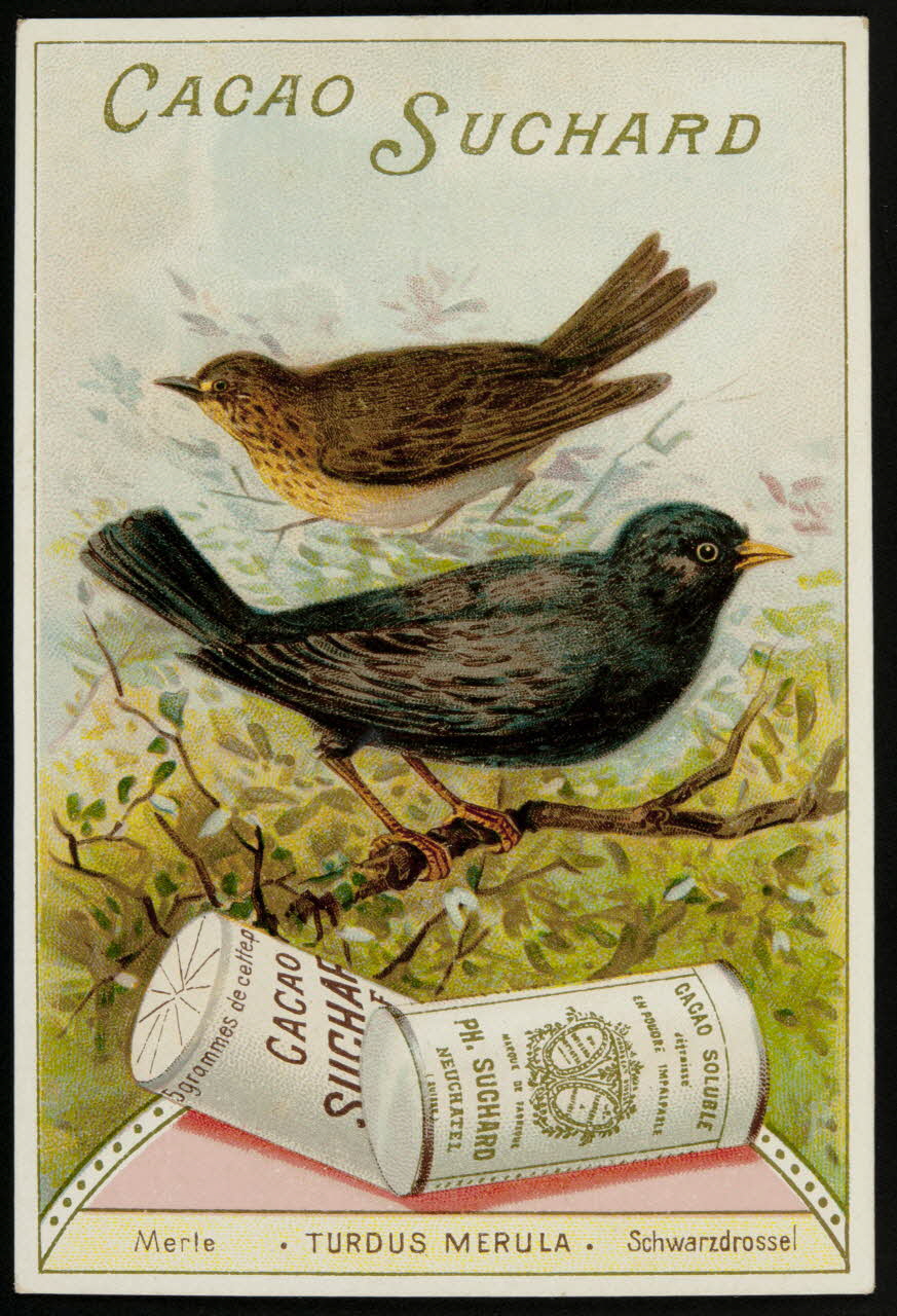 Suchard Philippe carte réclame chromo Neuchâtel 1880-1914 1996.40.177.7 Photo
