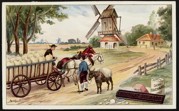 Suchard Philippe carte réclame chromo Neuchâtel 1880-1914 1996.40.182.3  Photo