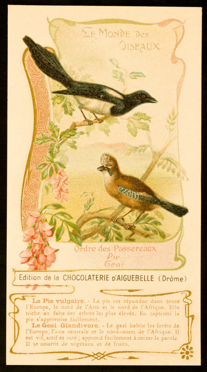 carte réclame chromo 1996.40.1839.11 Photo