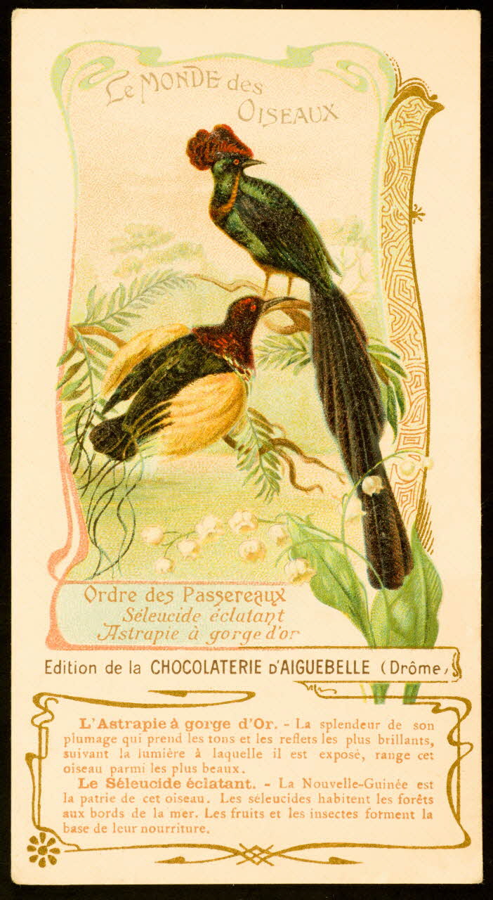 carte réclame chromo 1996.40.1839.13 Photo