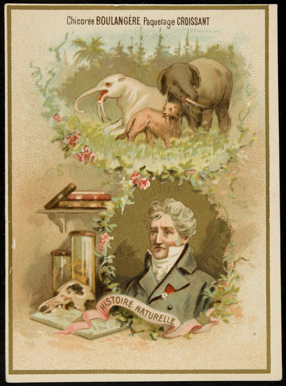 carte réclame chromo 1996.40.1841.4 Photo