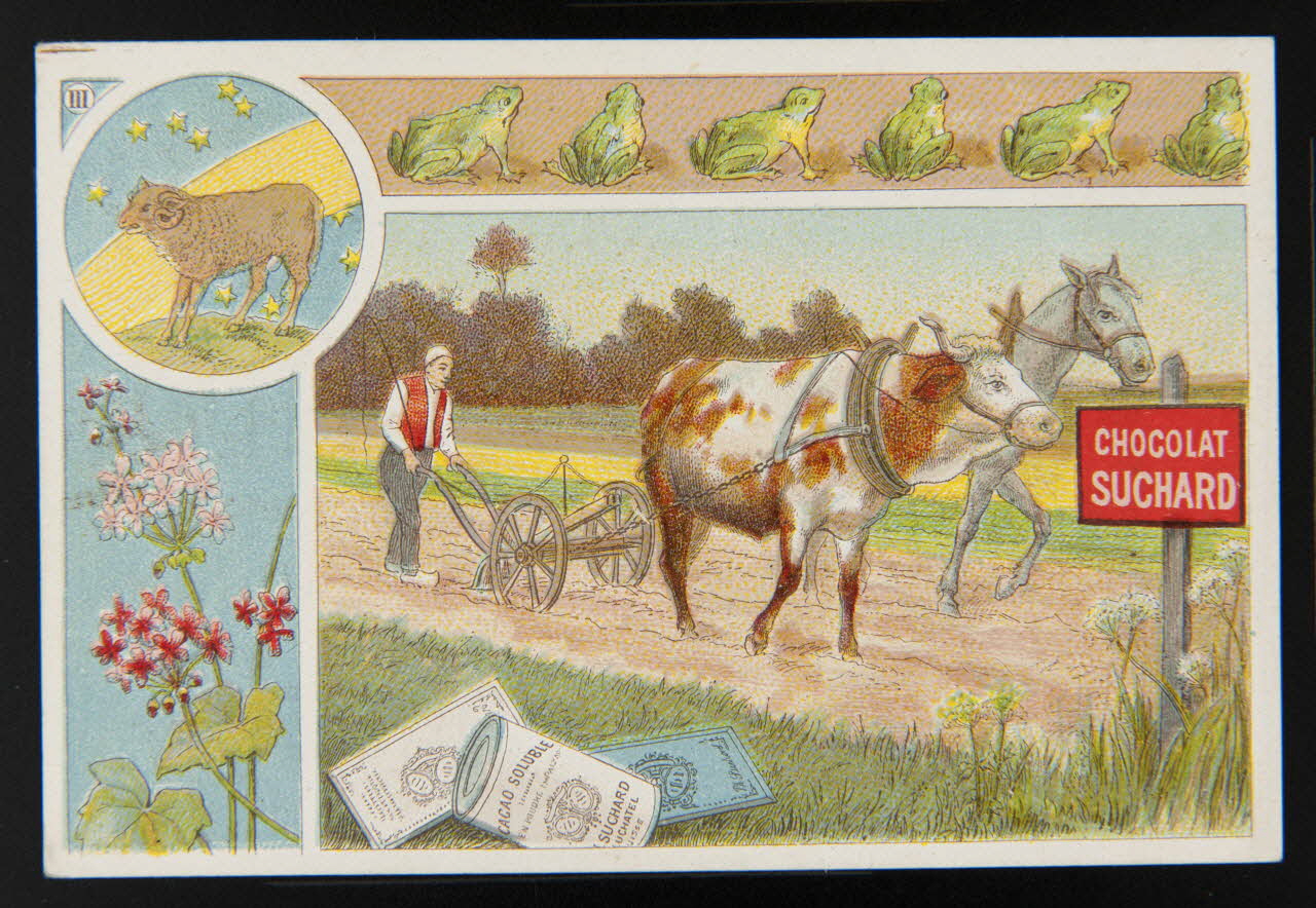 Suchard Philippe carte réclame chromo Neuchâtel 1880-1914 1996.40.187.3 Photo